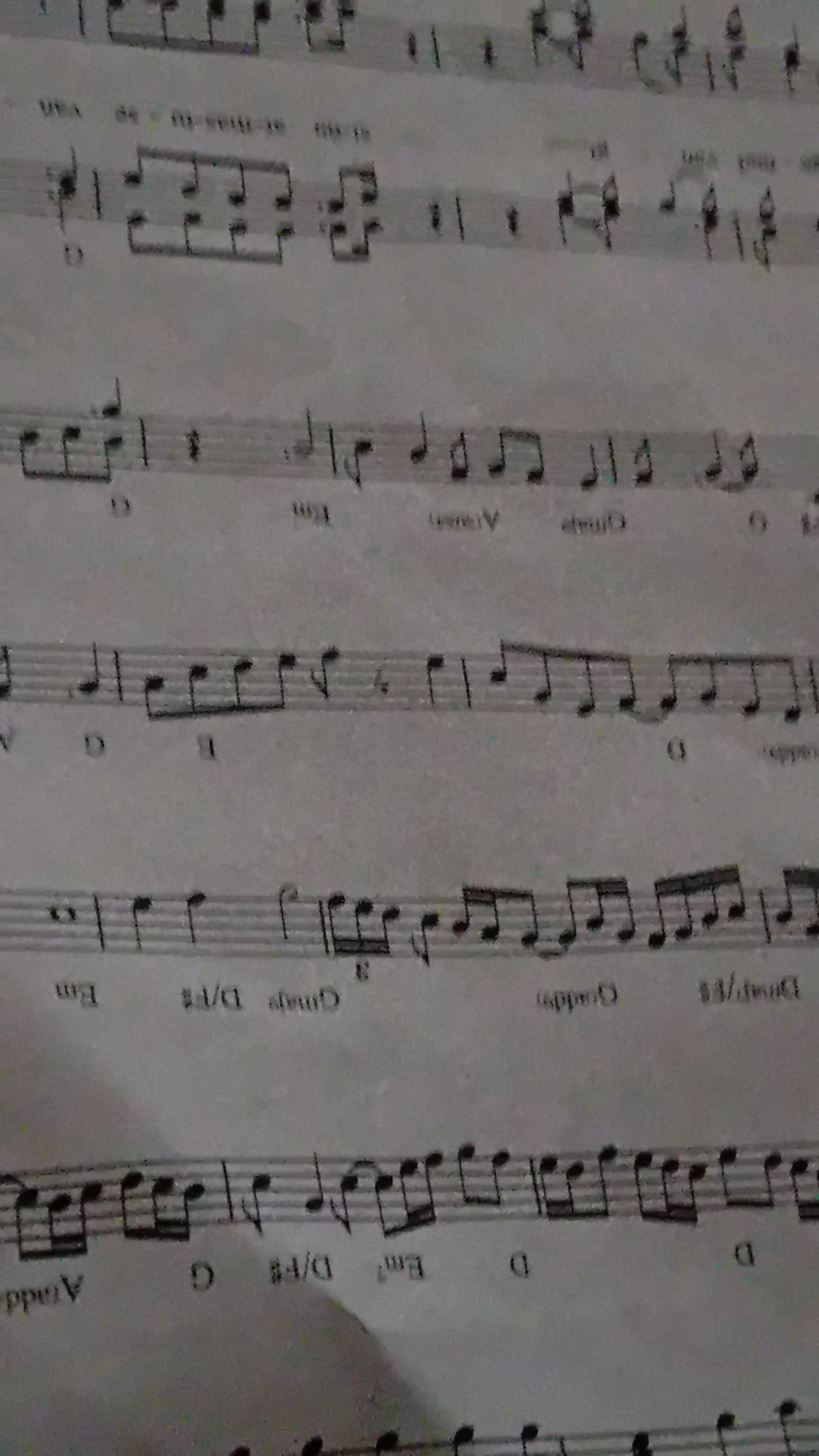 Source Image