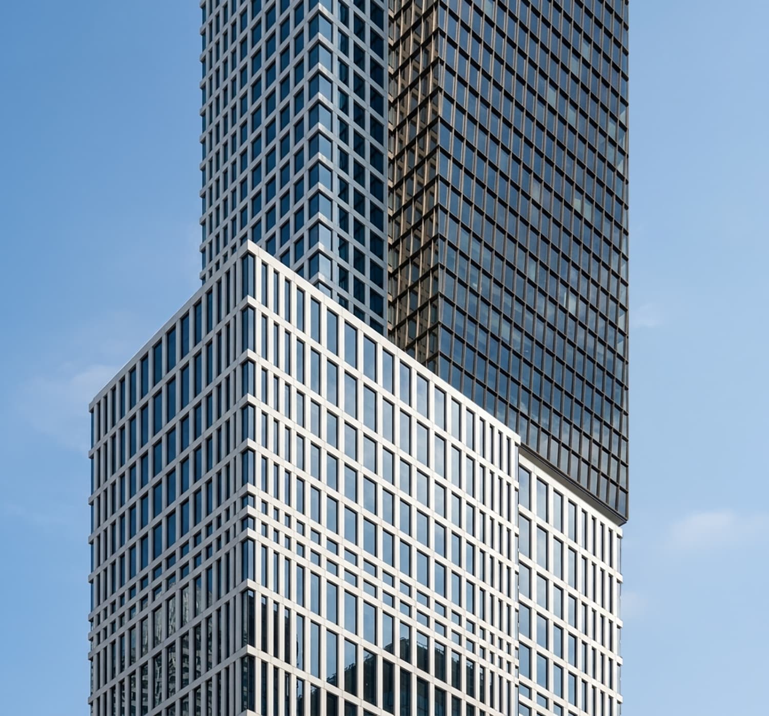 Source Image