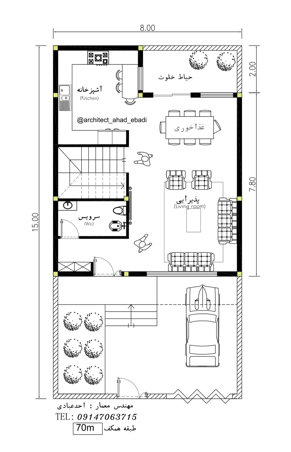 Source Image